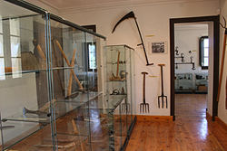 Museu de Das